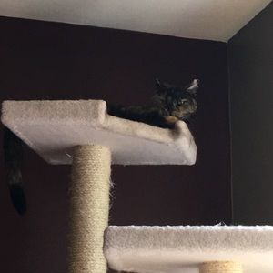 Meet your Posher, Katrina